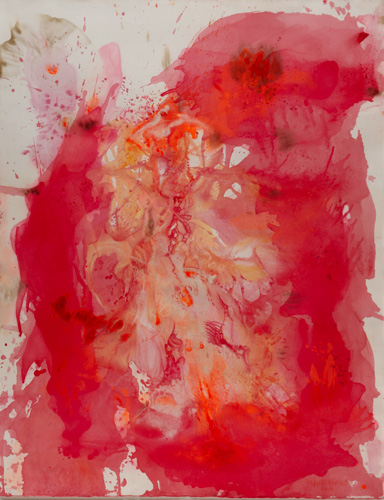 doris_braune_mangold